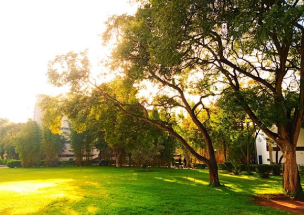 Garden at sunset on the ENSMR campus